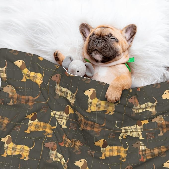 Waterproof Dog Blanket Soft Pet Blanket for Puppy Cat, Fleece Cat Throw Blankets for Furniture Bed Couch Sofa Reversible - Plaid Dachshund 3