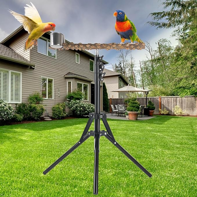 Adjustable Bird Perch Stand, 16-62 Inch Height Adjustable Bird Training Perch Stand with Feeding Cups and Swing Toy, Natural Pepper Wood Parrot Perch Toy for Small Medium Birds Indoor Outdoor Use