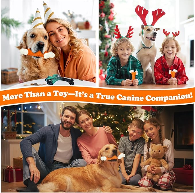 10-Pack Indestructible Dog Toys for Aggressive Chewers: Peanut Butter Flavored Hard Nylon Bone Chew Toys, Tough Dog Chew Toys, Dog Toys to Keep Them Busy for Medium Large Dogs, Orange