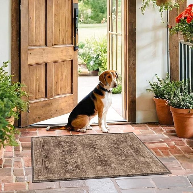 Boho Taupe Brown 2x3 Entryway Rug