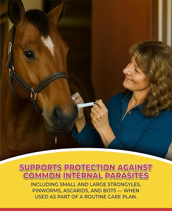 Horse Paste Gel 1.87% – Apple Flavored Oral Syringes – 6.08g Each (2-Pack) – Adjustable Weight Markings – for Equine Use