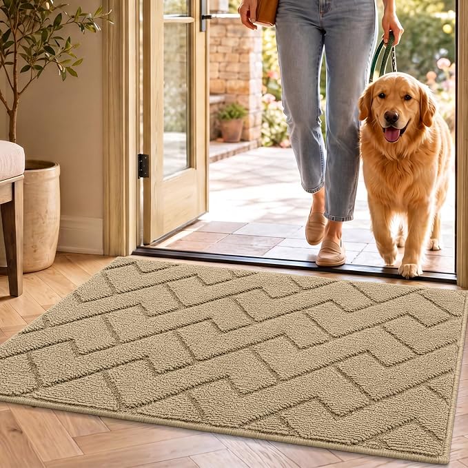 hicorfe Front Door Mat Outside Entrance, Stain and Fade Resistant, Non Slip