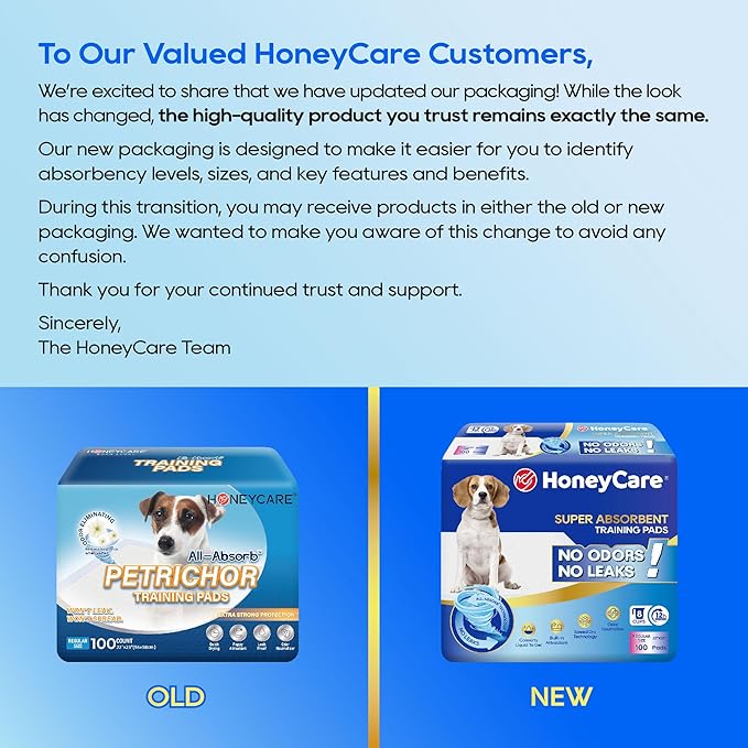 HONEY CARE All-Absorb A07 Bulk Packaging Training Pads, Blue, Large - 22" x 23" 200ct