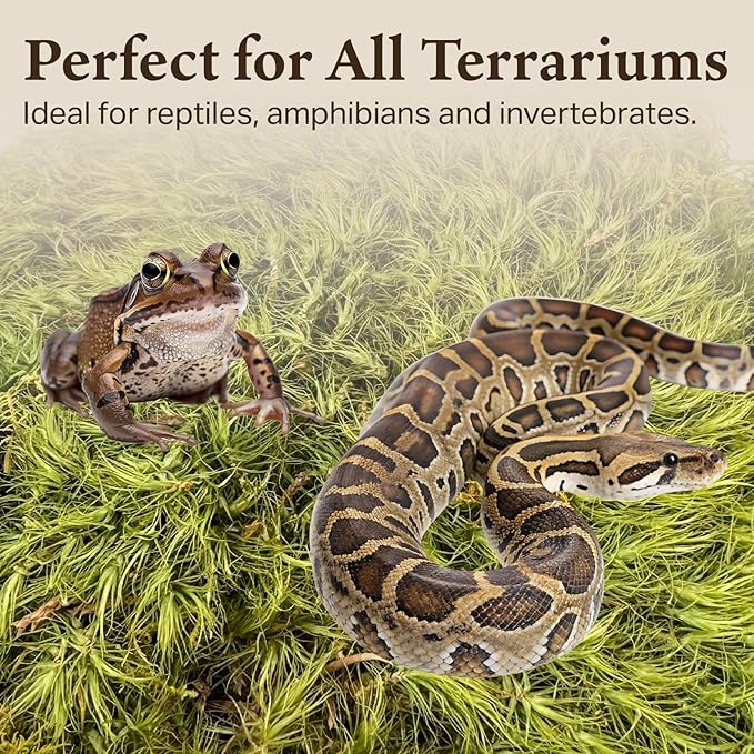 The Habitat Life - Natural Mood Moss - for Reptiles, Amphibians & Invertebrates Terrariums - Moisture-Retaining - Humidity Control - Soft Bedding - Dye-Free & Safe - Small - 1 Pack
