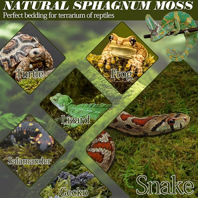 ZeeDix 1.1 lb Premium Sphagnum Moss for Reptile,25 qt Green Natural Reptile Moss Bedding for Terrarium Plants, Long Fiber Reptile Moss for Leopards, Geckos, Snakes, Turtles, Frogs