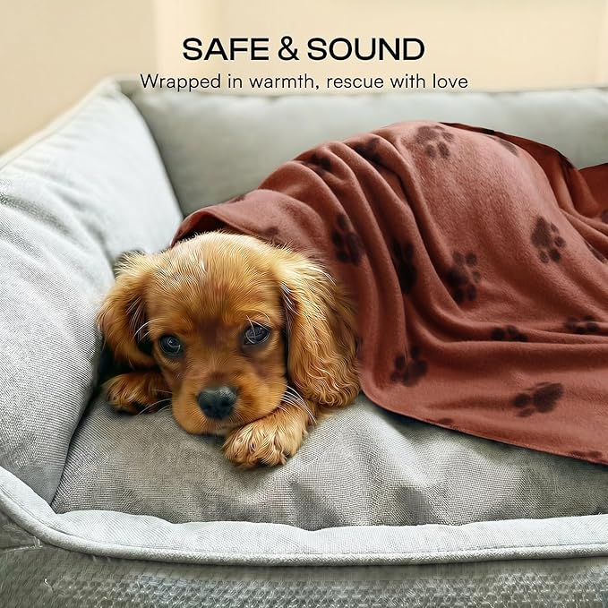 LINENLUX Cute Dog Blanket for Small Medium Dogs 6-Pack Soft Stretchy Fleece Blankets for Pet Cat Puppy Warm Wrinkle-Resistant Throw for Couch Bed Outdoor Coffee 45x31 inch (Pack of 6)