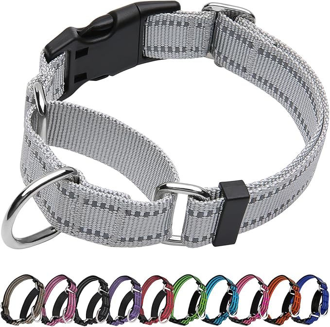 Martingale Dog Collar, Adjustable Nylon Reflective Collar with Buckle No Pull Dog Collar for Small Medium Large Dogs (Grey,L)