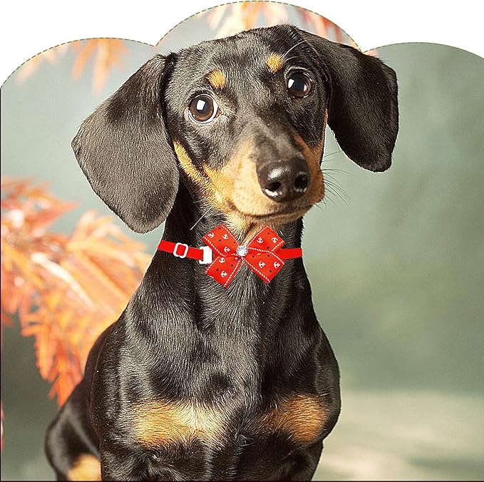 PET SHOW 50 Pack Small Dog Bow Ties Collar Bulk Puppy Cats Boy Girl Bowties Adjustable Neckties Pet Grooming Accessories Assorted Randomly(Daily Style)