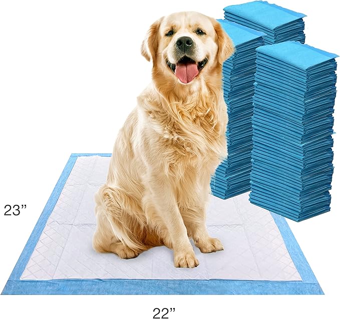 Four Paws Wee-Wee Superior Performance Unscented Pee Pads for Dogs & Puppies, Quilted Leak-Proof Dog Housebreaking Potty Training Floor Protection, 22" x 23", 10 Count