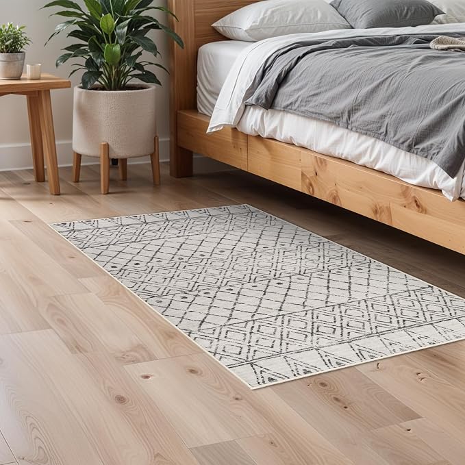 2x3 Entryway Rug Washable