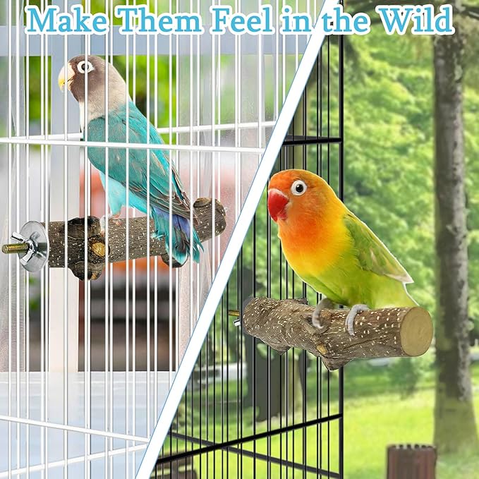Hamiledyi Bird Perch Stand Toy Natural Wood Bird Perch Stand Birds Toy with Rotating Balls Toys for Parakeets Cockatiels Conures Budgies Finches Love Birds