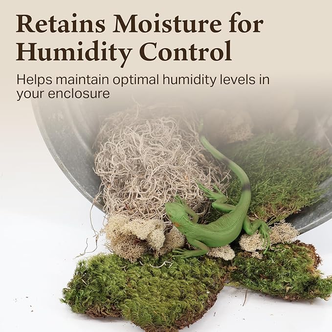 The Habitat Life - Natural Variety Pack - Mix of Reindeer, Mood, Sheet & Spanish Moss - for All Terrariums - Humidity Control - Breathable Bedding - Dye-Free & Safe - Medium - 2 Pack