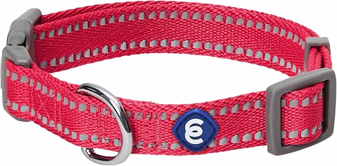 Blueberry Pet Essentials Reflective Dog Collar & Leash Set, Adjustable for Small Dogs | Safe Walking Gear for Pet Parents, Puppy Training & Daily Use SmallDogs, Very Berry