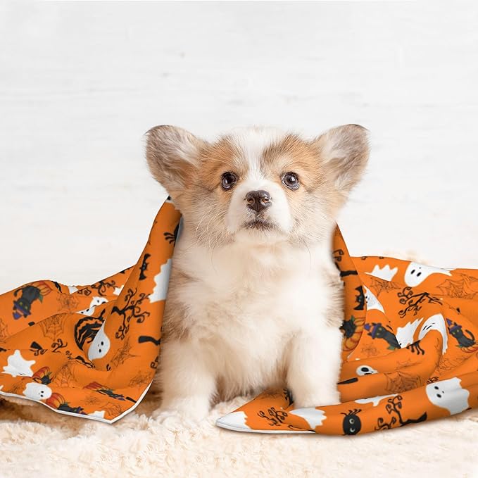 Halloween Blanket for Dog Cat - Fall Dog Blankets 23x16 Autumn Puppy Throw Blanket for Couch Sofa Bed