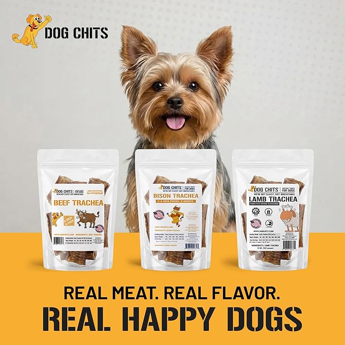 Dog Chits Lamb Trachea Dog Chews - 100% Single Ingredient, High Protein, Low Fat - Glucosamine for Joint Support - Dental-Clean Crunch - for Dogs Sensitive to Beef, Training Treat - 6 inch, 8 oz