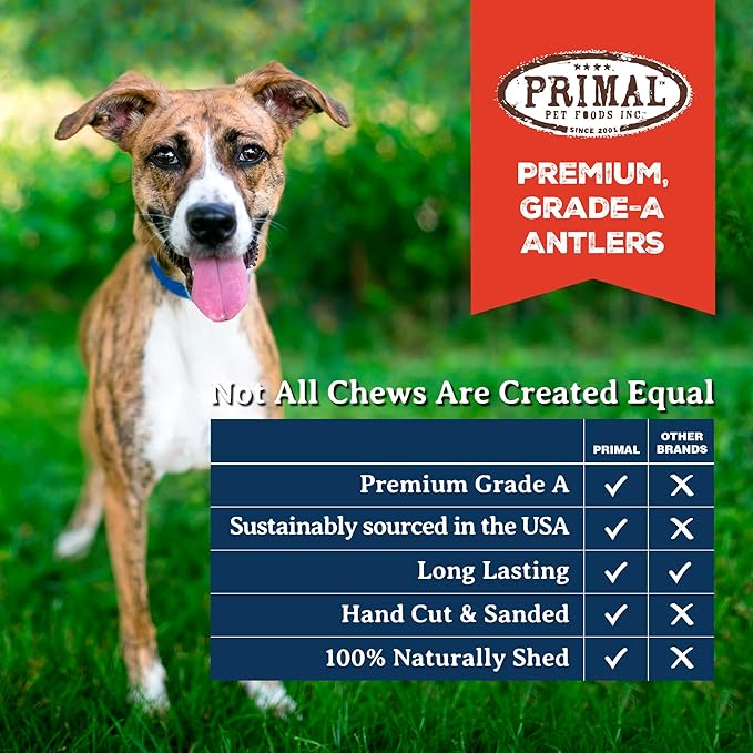 Primal Antlers for Dogs, Grade A Split Elk Antlers for Small Canines up to 15 lb, Natural Chews for Aggressive Chewers, Naturally Shed, Long Lasting Dog Bones, 1 ct