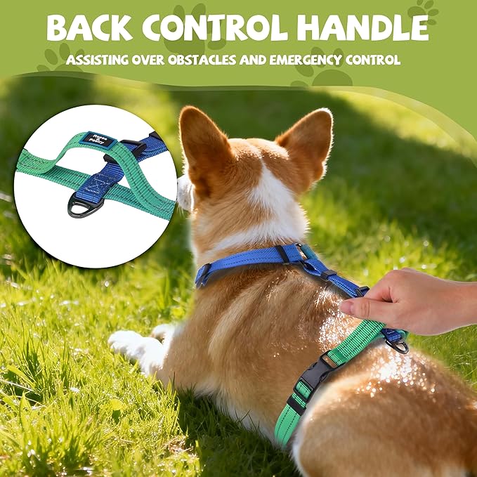 Roses&Poetry Dog Harness Medium Sized Dog, 6 Point Adjustable Fit No Pull Harness with Handle for Control and Easy Walking, Reflective Pet Halter Harnesses（Bluegreen-M）