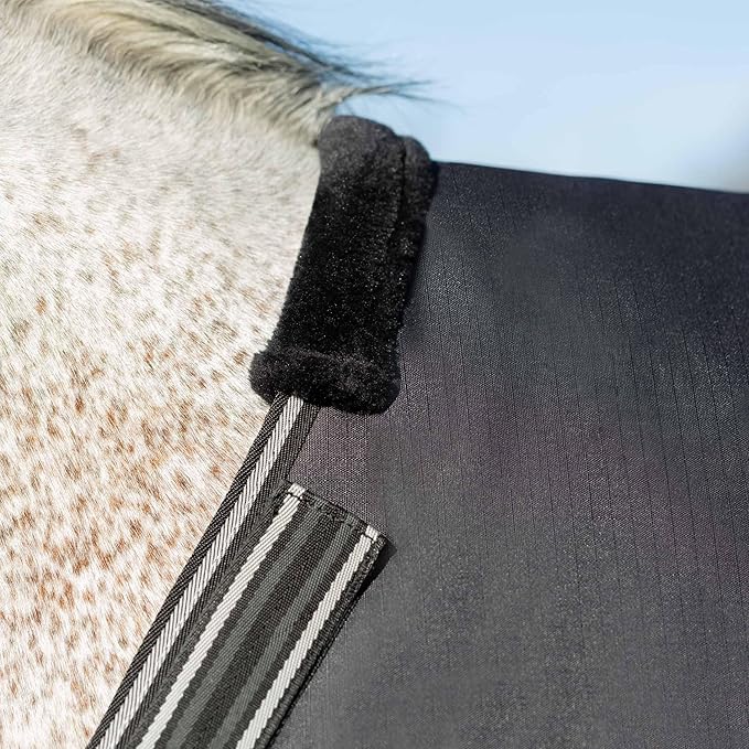 Equinavia Norse Lightweight 100g Fill Horse Rain Blanket | Waterproof Turnout Sheet - Black - 66 in - Black - 75 in