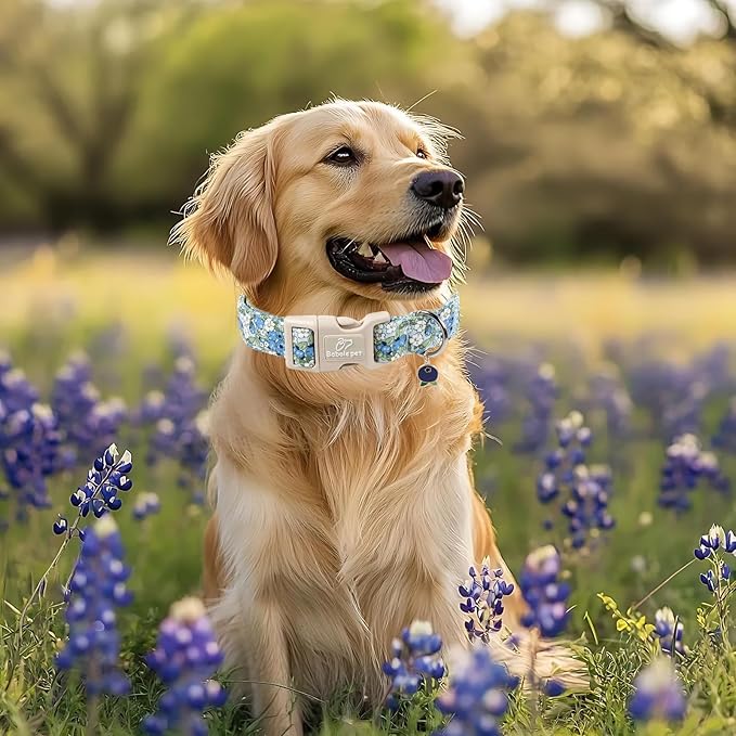 Blueberry Pattern Dog Collar, Cute Light Blue Spring Summer Puppy Collar - Soft Adjustable Designer Dog Collars for Small Medium Large Dogs XL