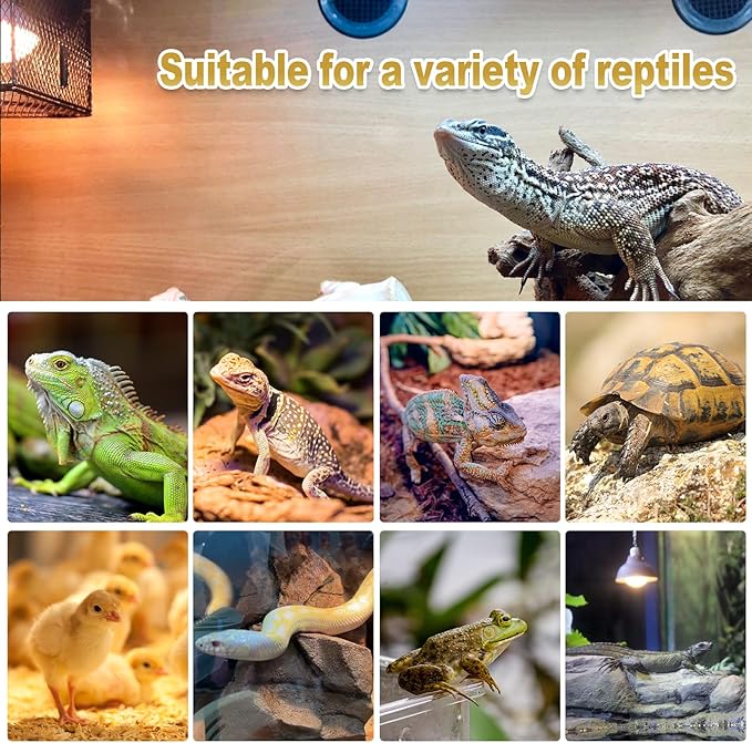 MIXJOY 150W Reptile Heat Lamp Bulbs, 2Pack Heat Lamp Bulbs for Reptiles Basking Bulbs UVA Daylight Basking Light Amphibians Heating Lamp Emitter for Lizard, Tortoise, Bearded Dragon Gecko, Chicken