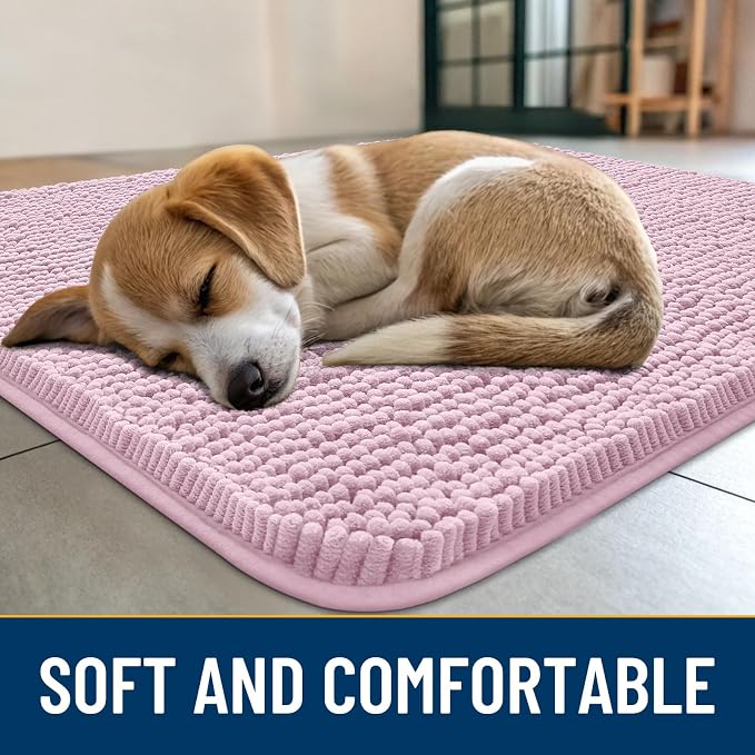 Smiry Dog Door Mat for Muddy Paws 36x24, Absorbent Dirt Trapper, Non-Slip