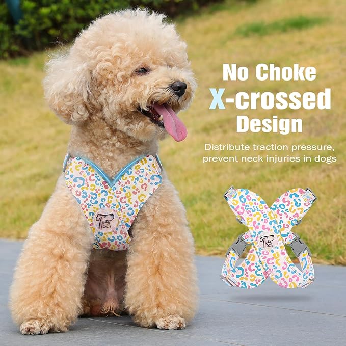 Pawaboo Small Dog Harness and Leash Set, Puppy Harness X-Frame No Pull No Choke, Dog Vest Harnesses Adjustable for Small Medium Sized Dogs,Soft Breathable Pet Harnesses, XS, Colorful Leopard