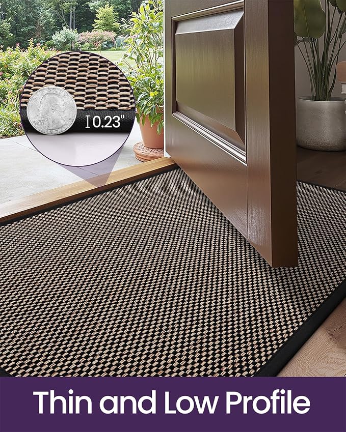 DEXI Ultra Thin Entryway Indoor Door Mat 24x36, Non Slip Rubber Backing Inside