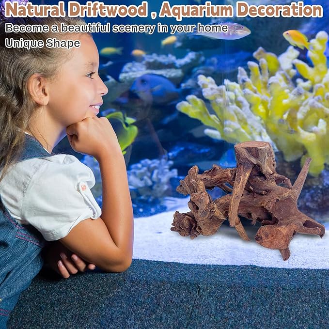 PINVNBY Natural Driftwood for Aquarium Fish Tank Decorations Assorted Branches Bearded Dragon Tank Accessories Terrarium Decor (6.5-12 inches/4 Pack)
