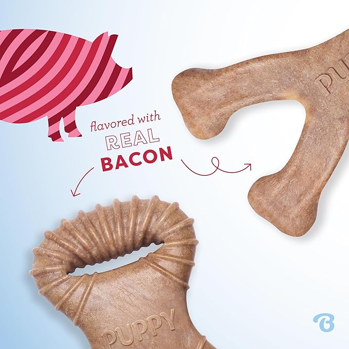 Benebone Puppy 2-Pack Dental Chew/Wishbone Real Bacon Small