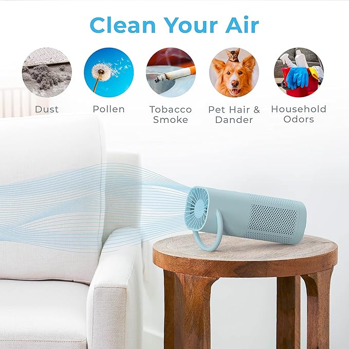 Pure Enrichment® PureZone™ Mini Portable Air Purifier