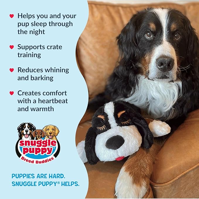 Snuggle Puppy Heartbeat Dog Toy for Puppies, Real-Feel Heartbeat, Calming Sleep Aid and Crate Training Comfort Toy with Heat Pack, Medium Breed Buddies Bernese Mountain Dog