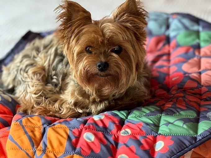 Waterproof Blanket, 29" x 34” - Seat Cover for Dogs and Pets. Ideal for Small and Medium Pet Crate Blankets, Settle mat, Diaper Changing and Playmat for Babies
