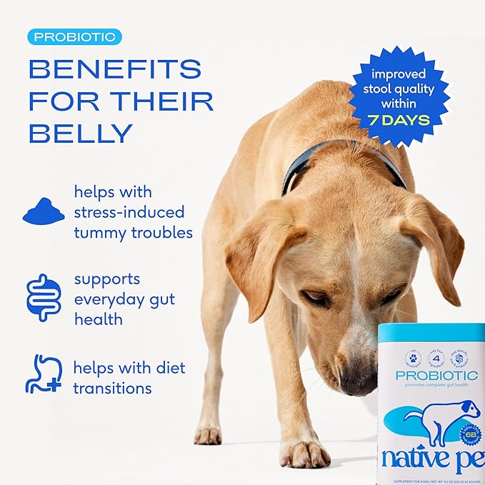 Native Pet Probiotics for Dogs - Dog Probiotics Powder for Digestive Health, Gut Support, & Immune Boost – Vet-Formulated Powder for Maximum Potency with Digestive Enzymes & Prebiotics - 120 Scoops