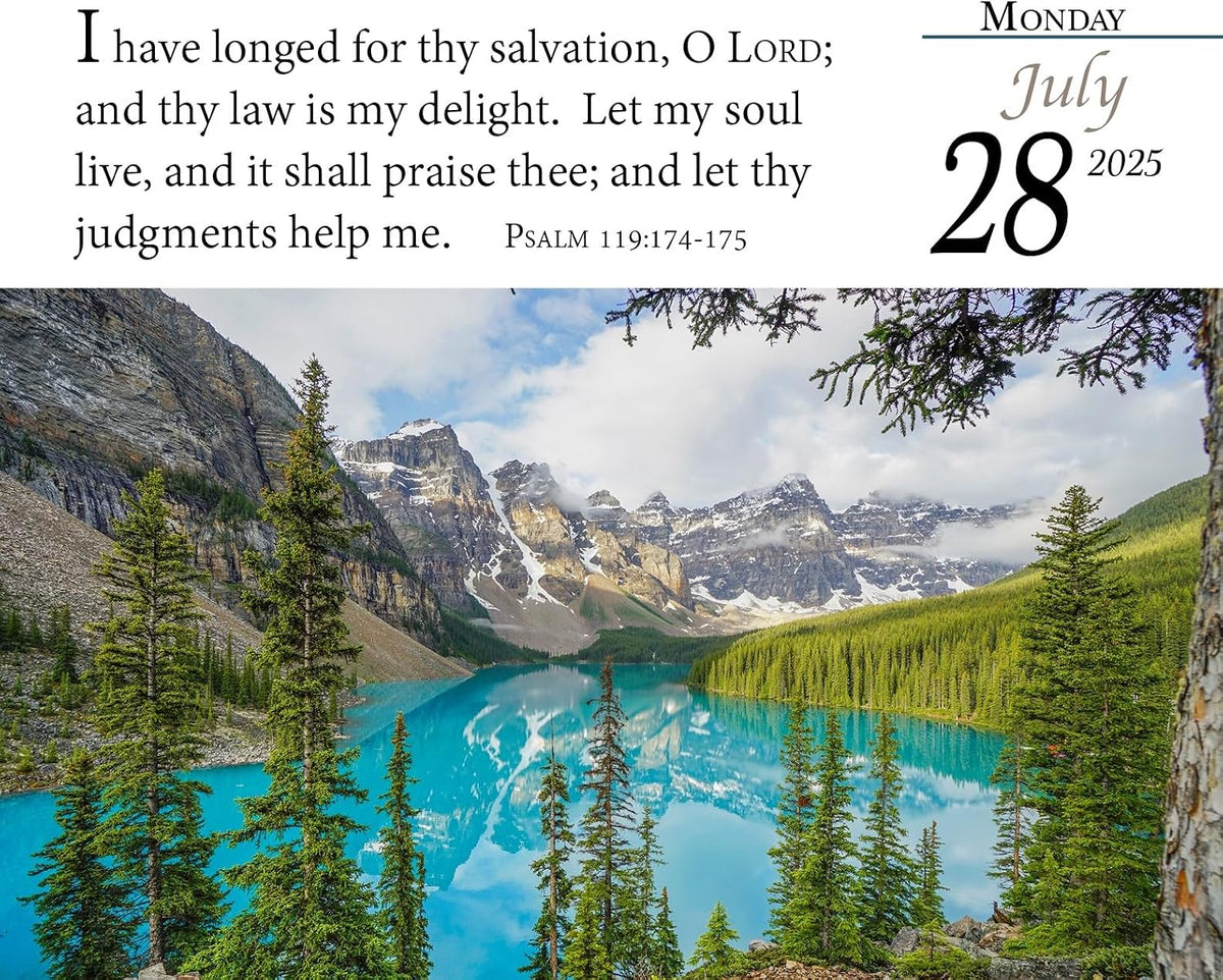 Verse for the Day Calendar 2025 - Daily Bible Calendar with KJV Scripture - 365 Pages