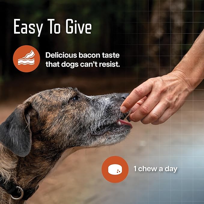 URSOLYX Soft Chews for Dogs | Muscle Health Support for Senior, Active or Recovering Dogs, Medium | 120 Count 4-Month Supply