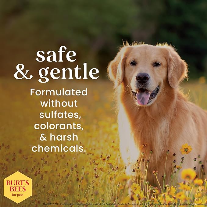 Burt's Bees for Pets Dog Paw and Nose Lotion with Rosemary and Olive Oil, Moisturizing Paw Balm for Dry Cracked Pads and Dog Nose Butter Moisturizer, Paw Lotion for Dogs Skin Care, 4 Fl Oz - 2 Pack