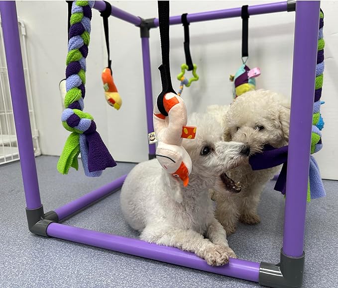 Puppy Play Gym for Small Dogs with 8 Hanging Toys, Jungle Playground with Interactive Funny Enrichment Toys to Keep Them Busy