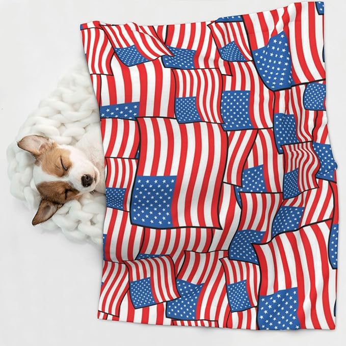 Two Sided Plush Pet Blanket for Crates Carriers Home Use, Novelty American Flag, Reversible Throw with Cozy Dot Fabric and Silky Reverse for Small Large Pets