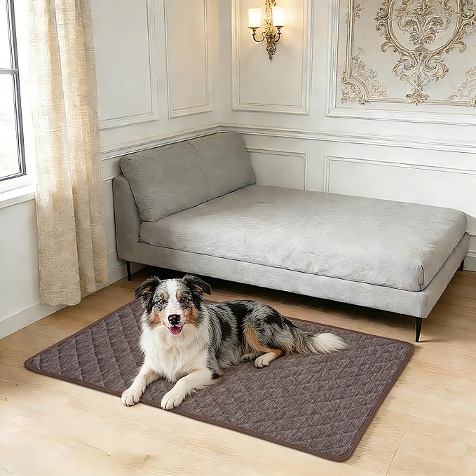 Cooling Mat for Dogs: Waterproof Pet Cooling Mat for Crate Kennel, Summer Indoor Dog Cooling Pad for Floor and Sofa, Dark Grey, Small Dog/Cat