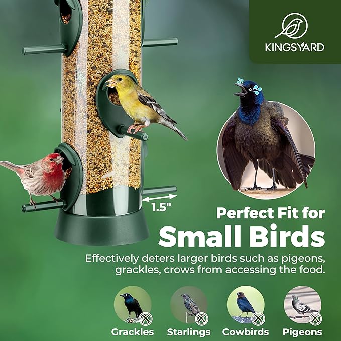 Kingsyard 6 Ports Tube Bird Feeder for Outdoors Hanging, Removable Base and Perch, Easy to Clean & Refill, Premium Hard Plastic, Attracting for Finches Cardinals Bluebirds (Green)