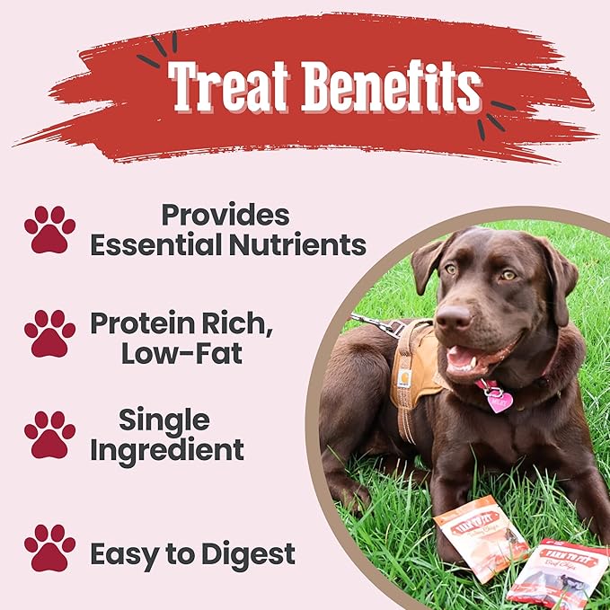 Farm To Pet - Puppy Packs 'N Snacks Dog Treat Starter Pack - Beef 4oz + 1 Chicken & 1 Turkey & 1 Fish Snack Pack - Single Ingredient Training Treats, All Natural, Lean for Small, Medium, Large Breeds