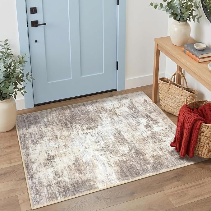 IOHOUZE Abstract Area Rug 3x4 Ft Washable Rugs