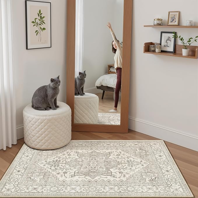 Madane Washable Area Rug 2x3, Small Entryway Rug Non-Slip Vintage Door Mat