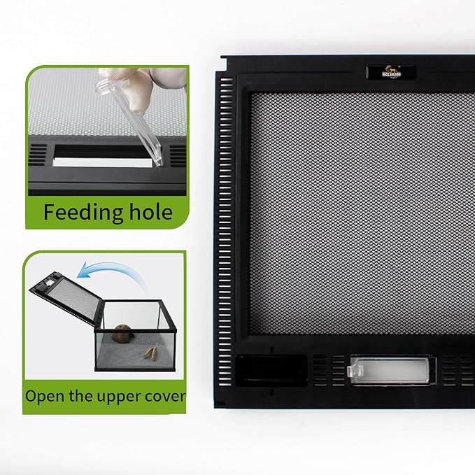 Reptile Glass Terrarium Tank 12 * 12 * 8" Full View with Top Ventilation, Amphibians Box Habitat Enclosure Cage for Frog,Spiders,Dubia Cockroach,Praying Mantis,Cricket,Tarantula,Hermit Crab