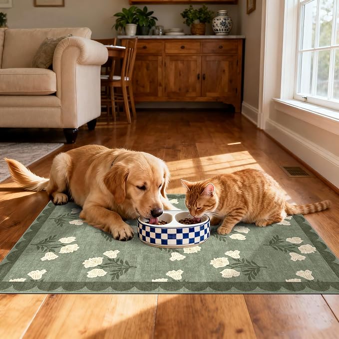 Front Door Mat Outside Entrance
