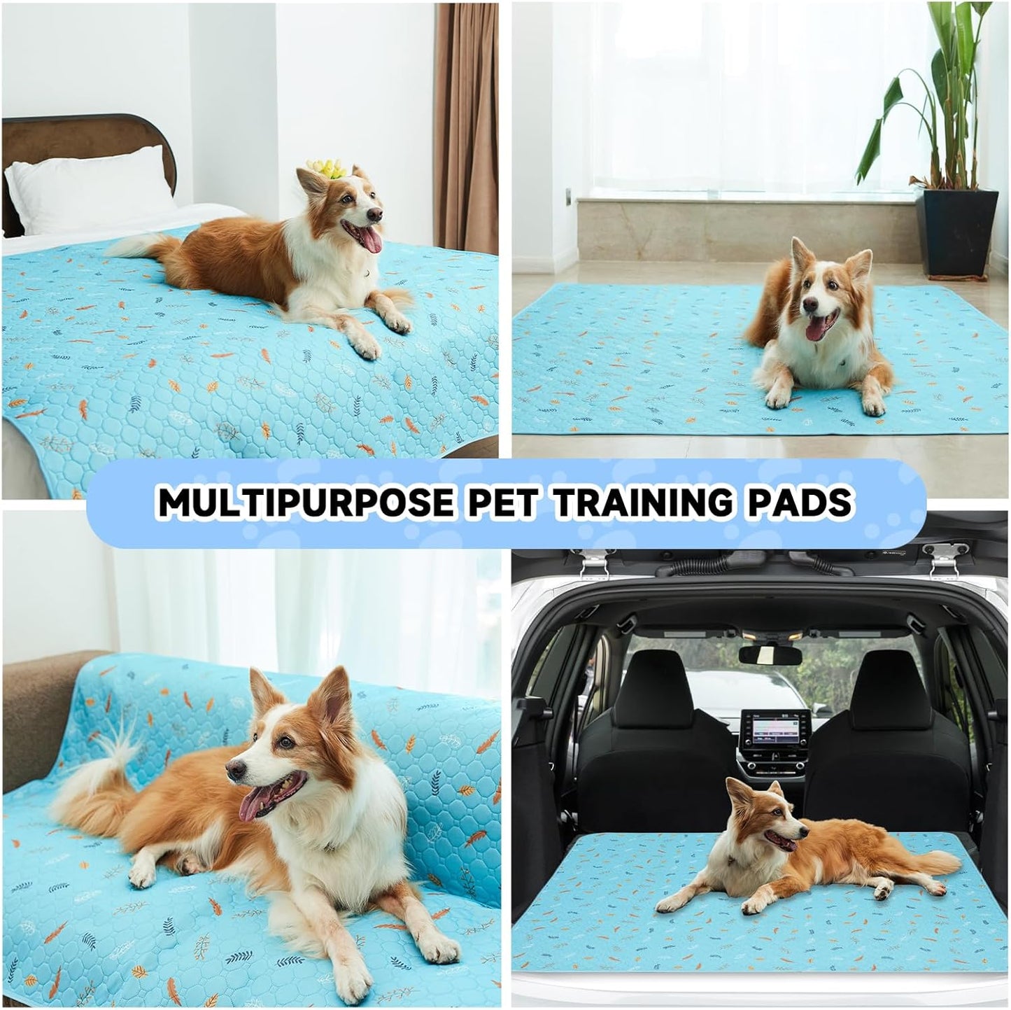 Sunheir Washable Pee Pads for Dogs Extra Large 48" x 60" 2-Pack, Reusable Puppy Pads Pet Training Pads for Dog Playpen Indoor, Waterproof Dog Pee Pads for Puppy Playpen, Whelping Pad - Sky Blue