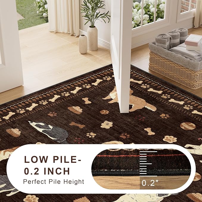DUKINO 3x5 Area Rug, Lightweight Washable Entryway Rug