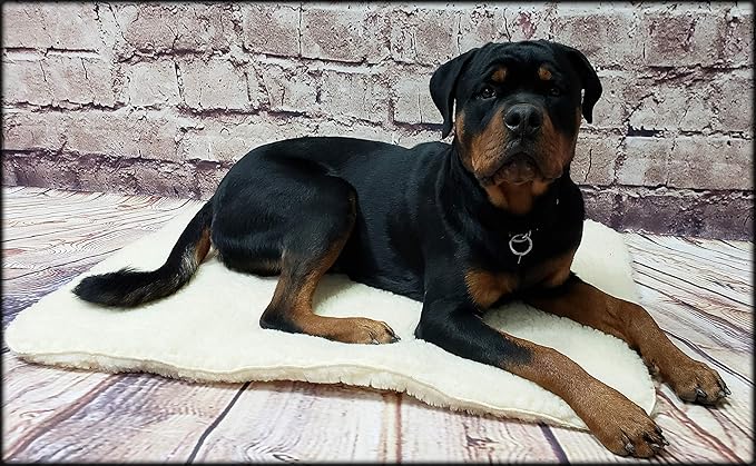 ActiveDogs Hi Loft Sherpa Faux Lambskin Dog Bed - X-Large 36"x50" - Orthopedic & Machine Washable - Double Layered