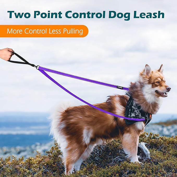 PetBonus Two Point Control Dog Leash, Works with No Pull Harnesses, No Tangle Training Leashes, Soft Padded and Reflective Walking Lead, Converts to Single Lead for Medium Large Dogs (Purple)