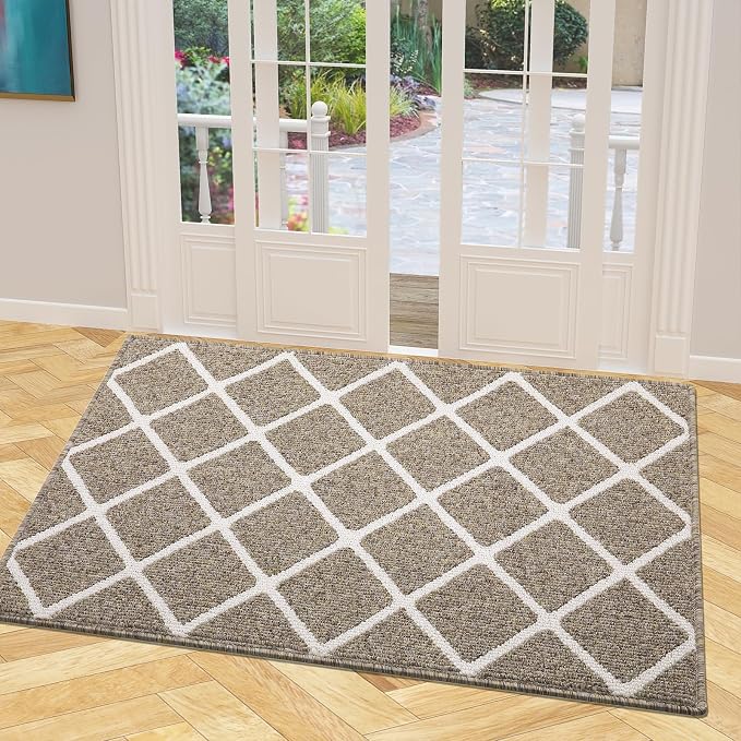 Finchitty Indoor Door Mat, Dirt Resistant and Absorbent, Low-Profile, Washable